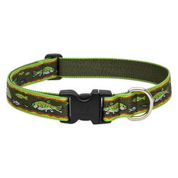 Lupine Pet Original Designs Dog Collar - Brook Trout