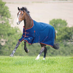 Shires Highlander 300g Standard Blanket