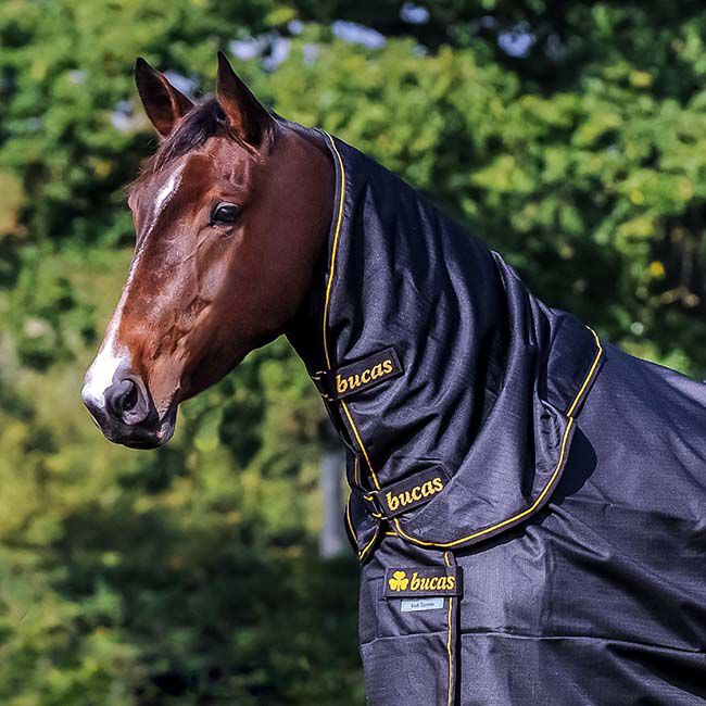 Bucas Irish Combi Neck - Navy/Gold image number null