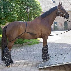 Waldhausen Transport Aid