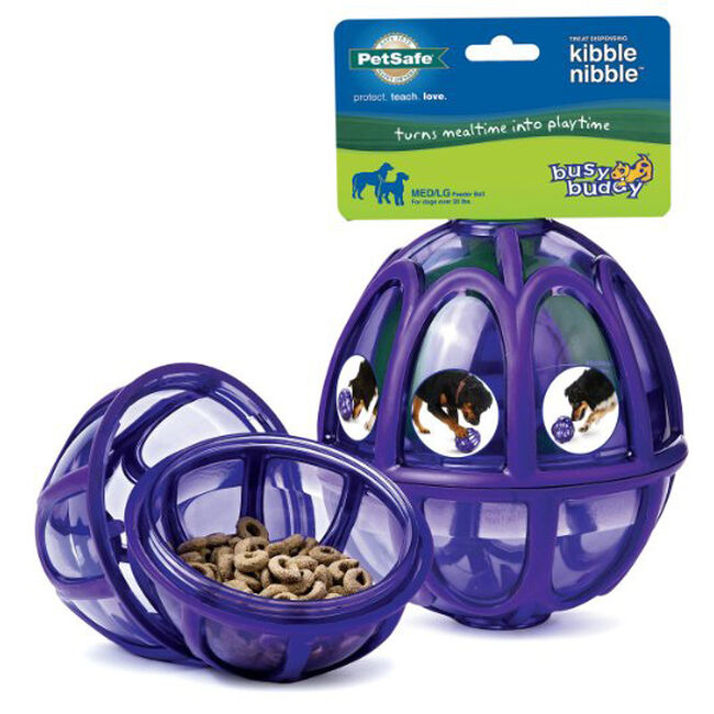 PetSafe Busy Buddy Kibble Nibble - Dog Toy - Treat and Food