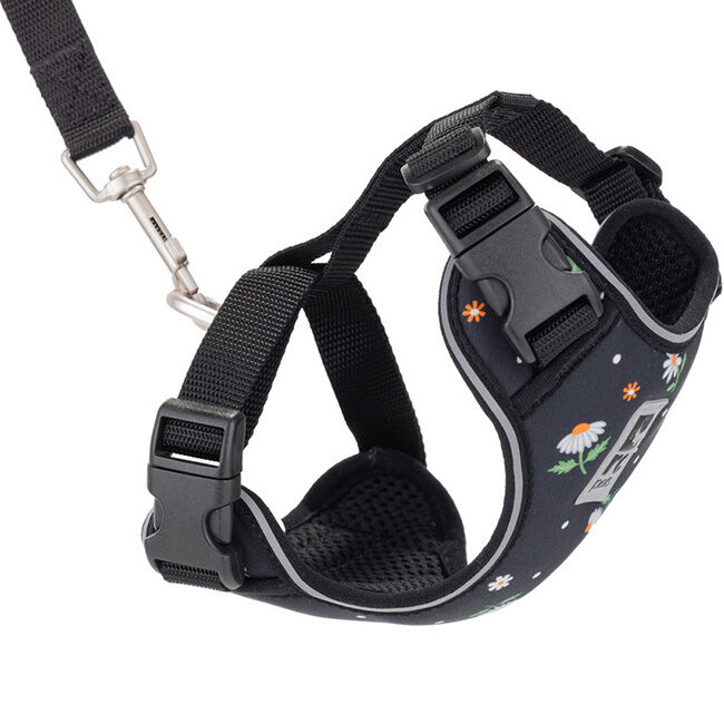 RC Pets Adventure Kitty Harness - Daisies image number null