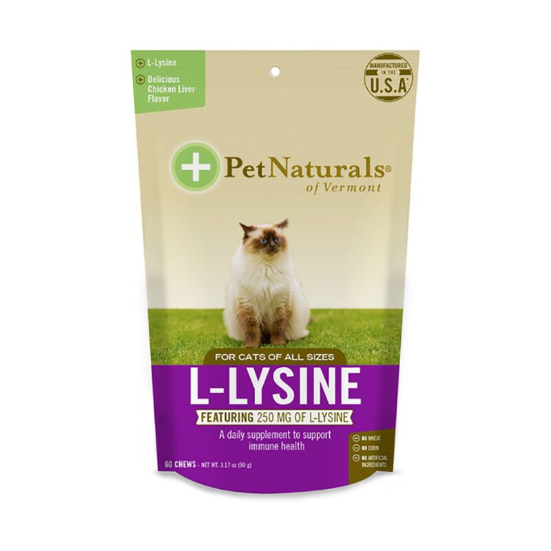 Lysine cat treats top