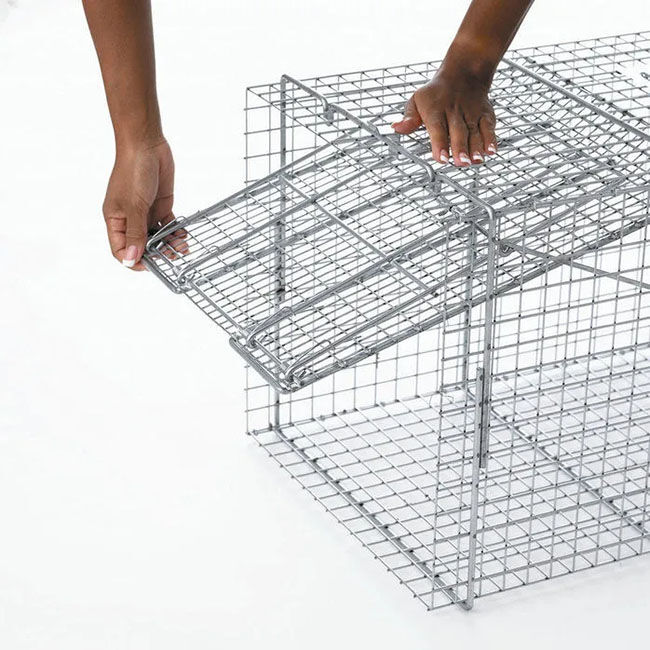 Havahart X-Large 1-Door Animal Trap image number null