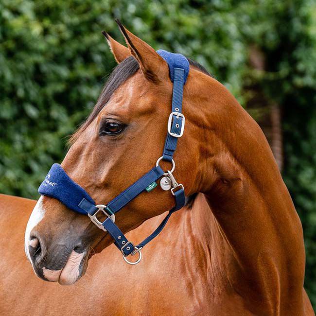 Horseware Signature Grooming Halter - Navy image number null