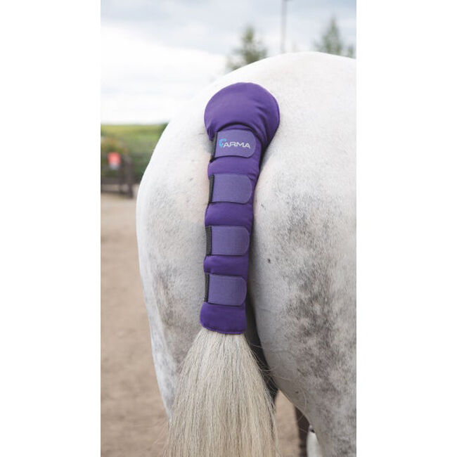 Shires Arma Padded Tail Guard image number null