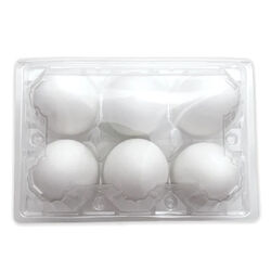 EggCartons.com Duck/Turkey 6-Egg Plastic Carton