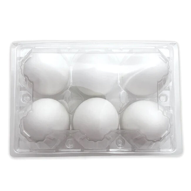 EggCartons.com Duck/Turkey 6-Egg Plastic Carton image number null