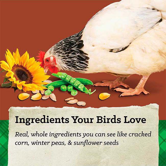 Nutrena NatureWise Harvest Blend 18% Textured Layer Feed - 40 lb image number null