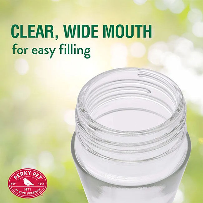 Perky-Pet Pinch-Waist Glass Hummingbird Feeder - Clear - 8 oz image number null