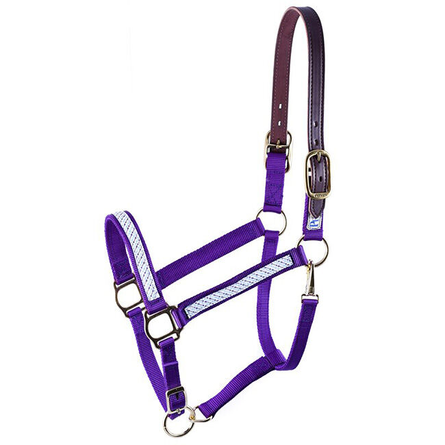 Perri's Leather Ribbon Safety Halter - Closeout image number null