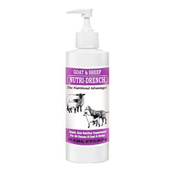 Nutri-Drench for Goats and Sheep