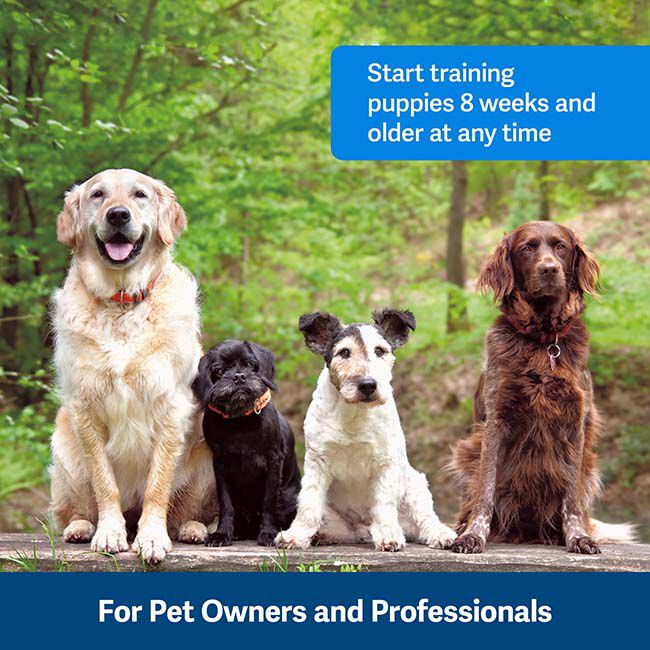 PetSafe Clik-R Training Tool image number null