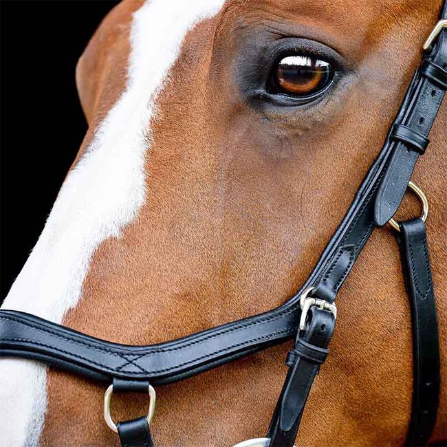Horseware Rambo Micklem 2 Competition Bridle image number null