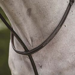 Collegiate Fancy Stitched Raised Standing Martingale