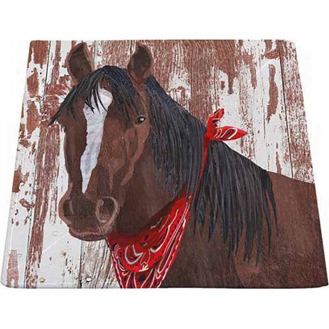GT Reid Bandana Horse Snack Plate - Closeout image number null