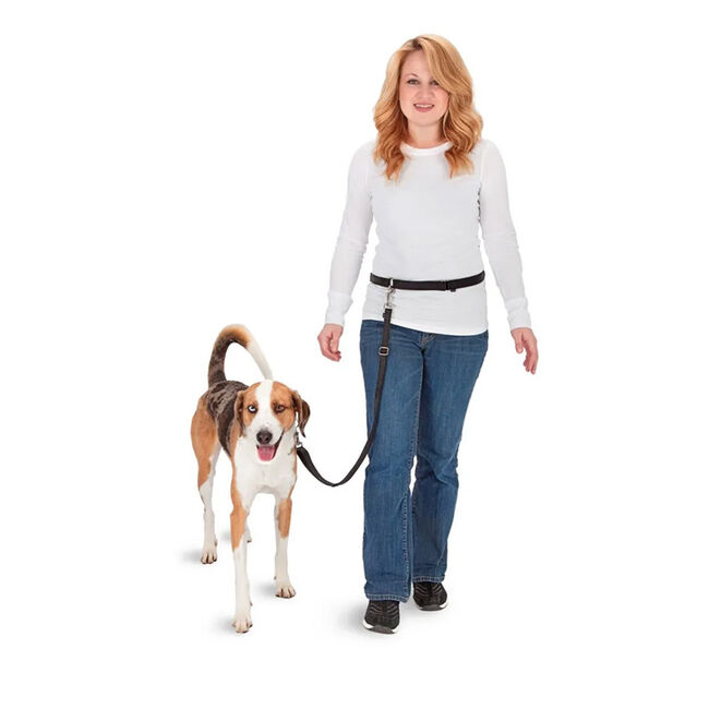 PetSafe Hands-Free Leash image number null