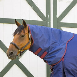 Shires Highlander Plus 300 Neck Cover (Heavy 300g) - Navy