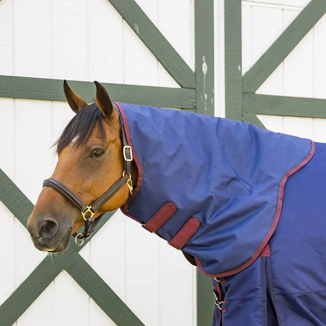 Shires Highlander Neck 300g  image number null