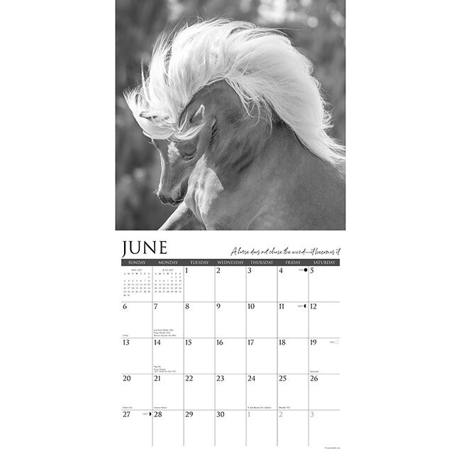 Willow Creek Press 2027 Wall Calendar - Spirit of the Horse image number null