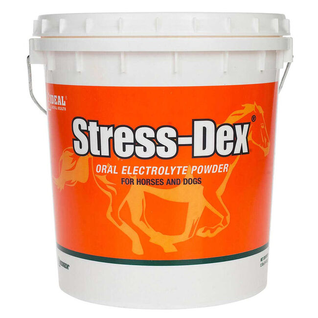 Neogen Stress-Dex Oral Electrolytes image number null