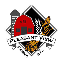Pleasant View Farms 2-String Teff Hay Bale - 50 lb
