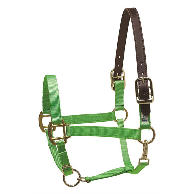 Perri's Leather Nylon Safety Halter image number null