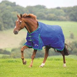 Shires Highlander Plus 200 Standard Neck Turnout - Navy