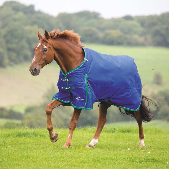 Shires Highlander Plus 200 Standard Neck Turnout - Navy image number null