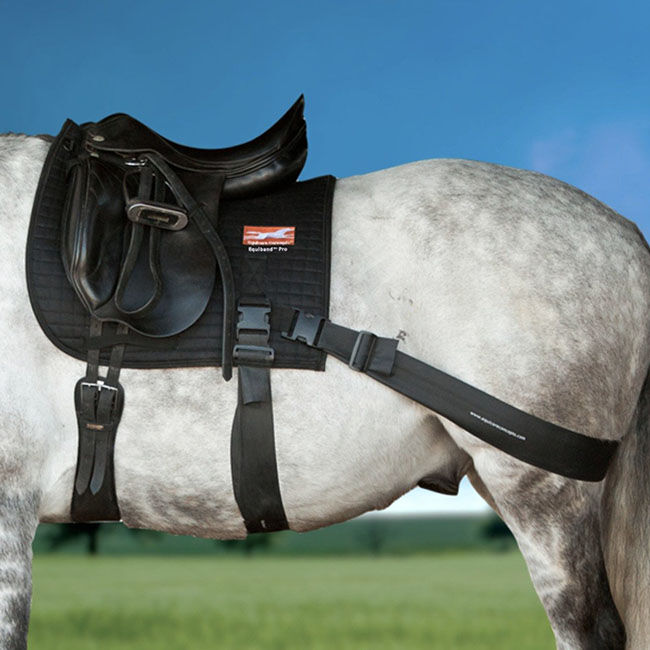 Equicore Concepts Equiband Complete Pro System - English image number null