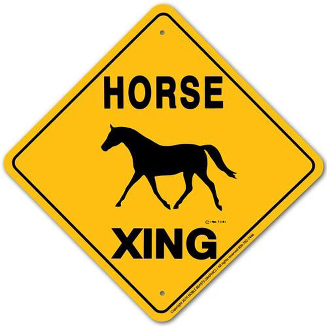 Noble Beasts Graphics Horse Xing Aluminum Sign image number null