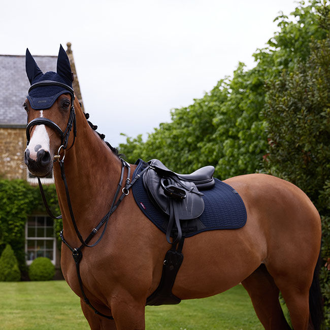 LeMieux Essence Jump Pad - Navy image number null