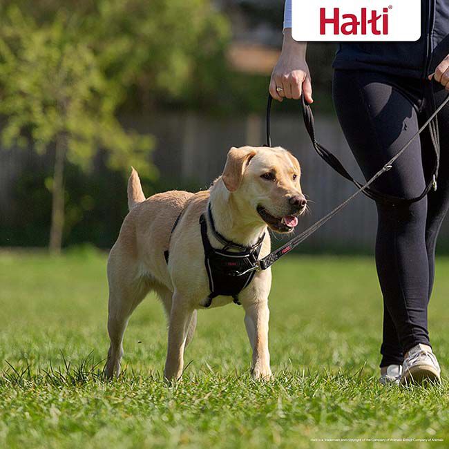 Halti Nylon No-Pull Dog Harness - Black image number null