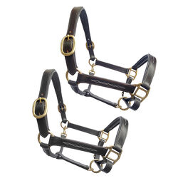 Tory Leather Fancy Stitch Padded Leather Halter