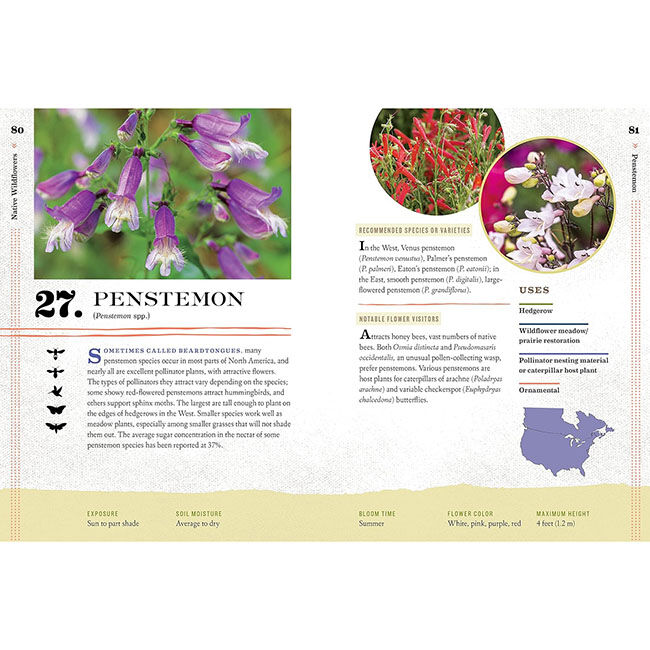 100 Plants to Feed the Bees: Provide a Healthy Habitat to Help Pollinators Thrive image number null