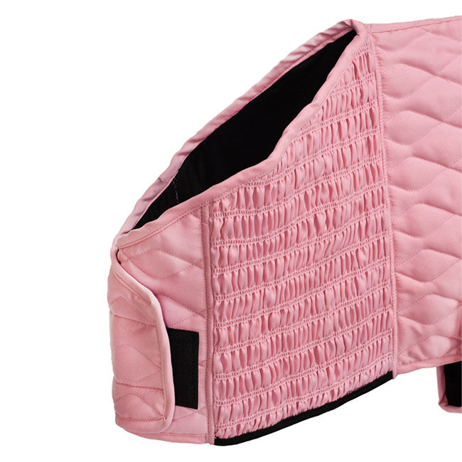 Paul Taylor Saddle Co Stretch Fit Foal Blanket image number null