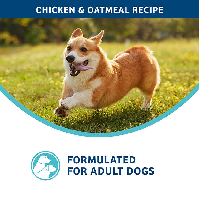 Fromm Nutritionals Digestive Support Low Fat Dog Food - Chicken & Oatmeal Recipe image number null