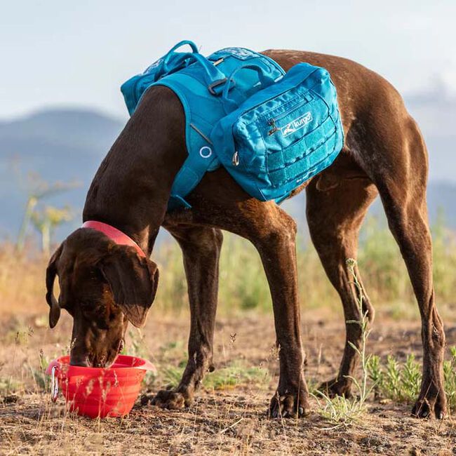 Kurgo Collaps-A-Bowl image number null