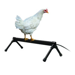 K&H Pet Thermo-Chicken Heated Perch