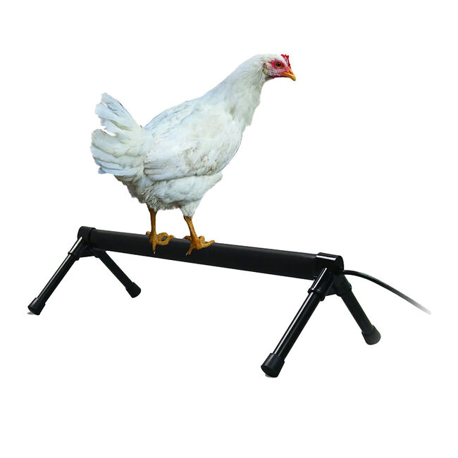 K&H Thermo Chicken Heated Perch  image number null