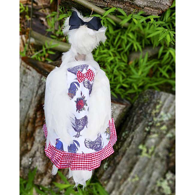 Hen Couture Hen Saddle image number null