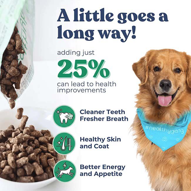 HealthyBud Meal Bites Freeze-Dried Raw Dog Food - Beef Recipe image number null