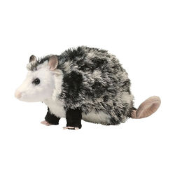 Douglas Oliver the Possum