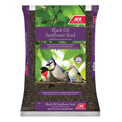 Ace Hardware Songbird Black Oil Sunflower Seeds - 10 lb