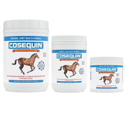 Nutramax Laboratories Cosequin Original Joint Health Supplement for Horses - Powder with Glucosamine & Chondroitin