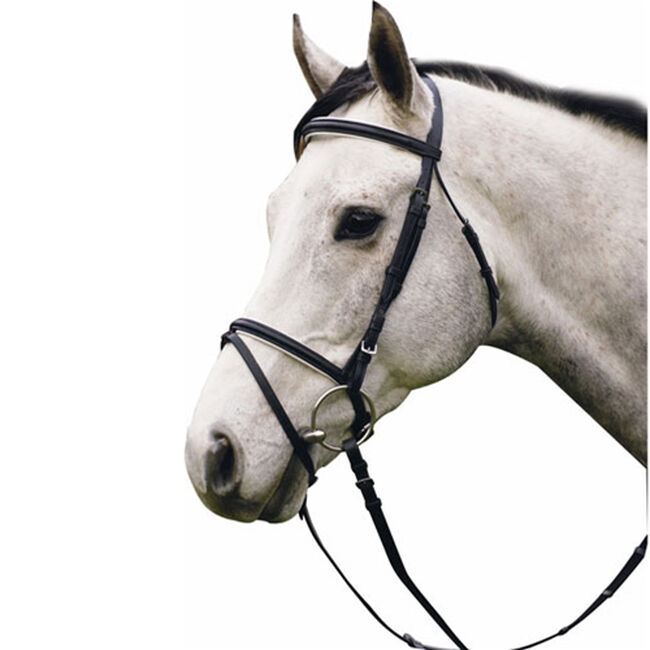 HDR Padded Dressage Bridle With Flash image number null