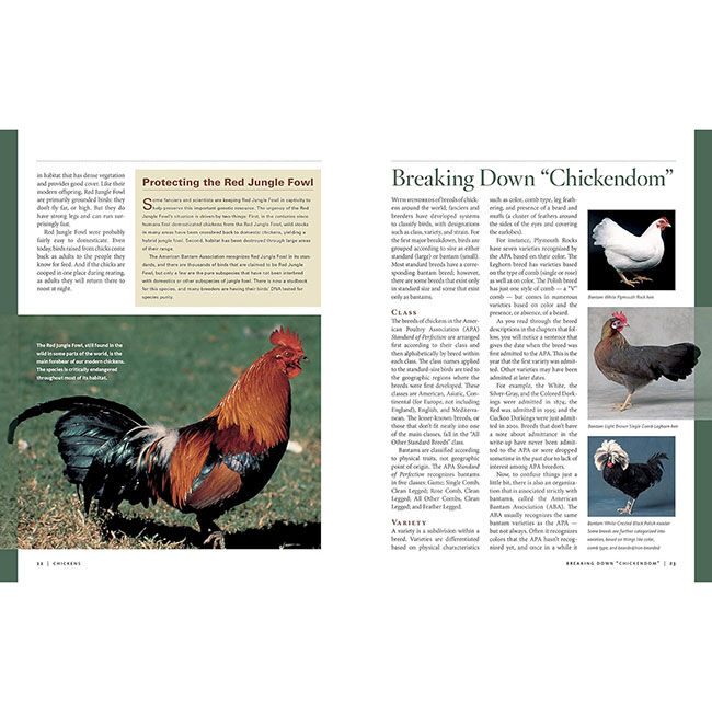 Storey's Illustrated Guide to Poultry Breeds: Chickens, Ducks, Geese, Turkeys, Emus, Guinea Fowl, Ostriches, Partridges, Peafowl, Pheasants, Quails, Swans image number null