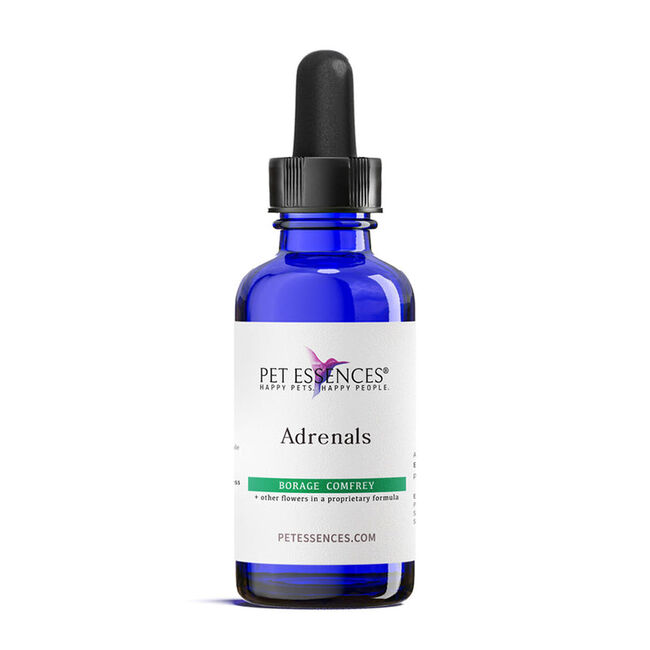 Pet Essence - Adrenals image number null