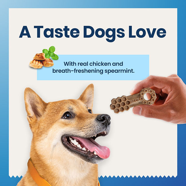 Blue Buffalo Dental Chews with Chicken & Spearmint Flavor image number null