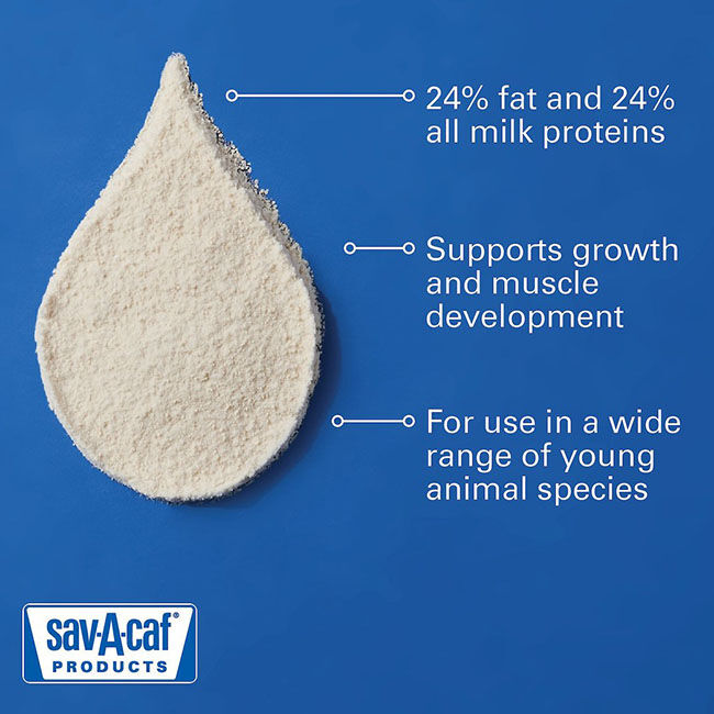 Sav-A-Caf Products Grade A Ultra 24 - Multi-Purpose Milk Replacer - 8 lb image number null